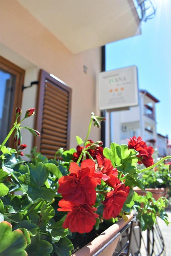 Apartments & Rooms Ivana Rovinj Room photo