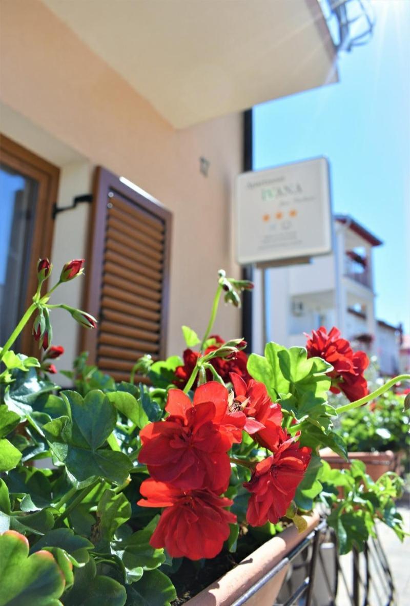 Apartments & Rooms Ivana Rovinj Room photo